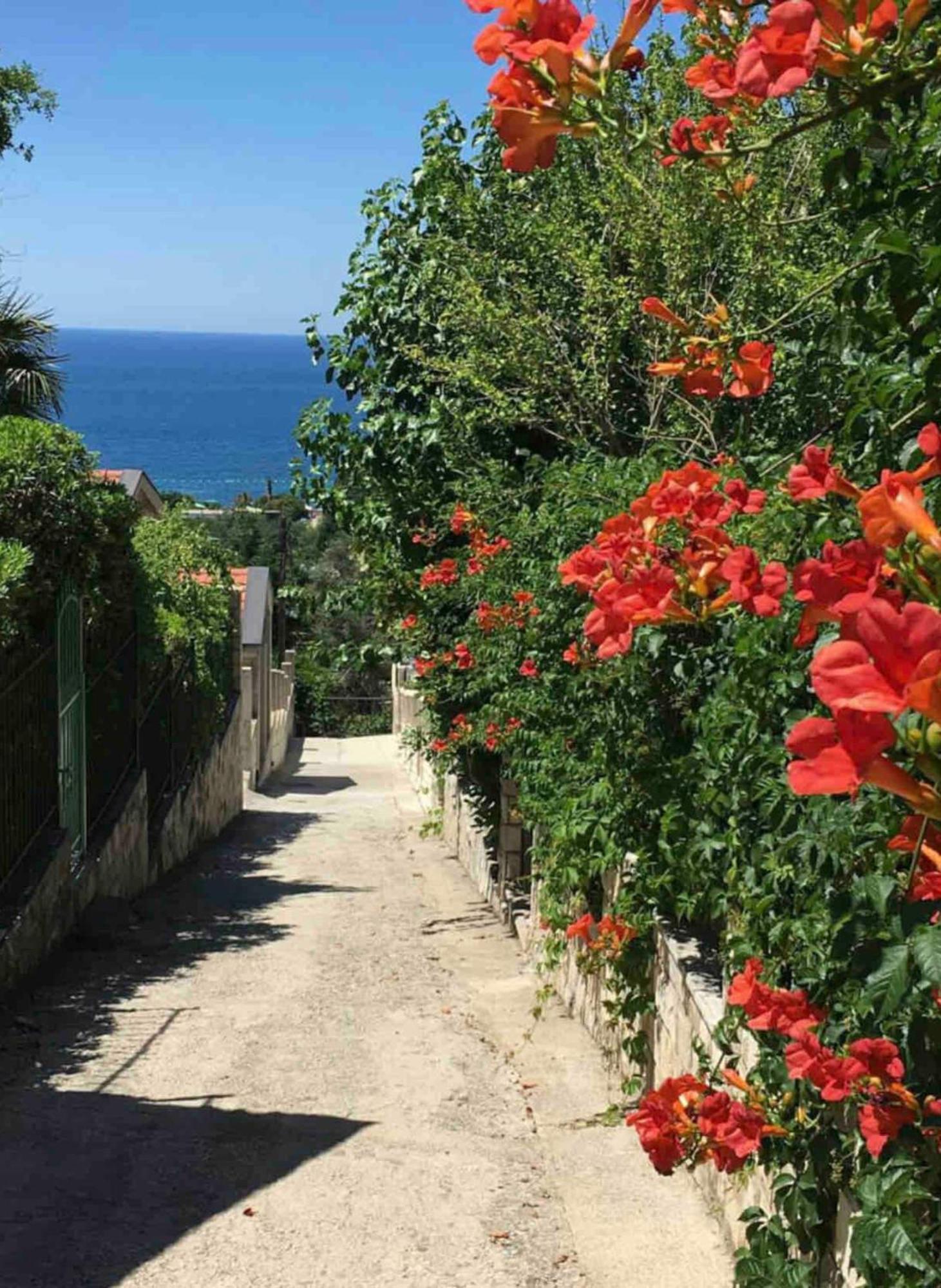 Bay View Apartments Petrovac Екстер'єр фото